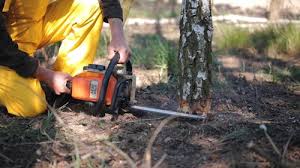 Landscape Design and Installation in Bethel Island, CA